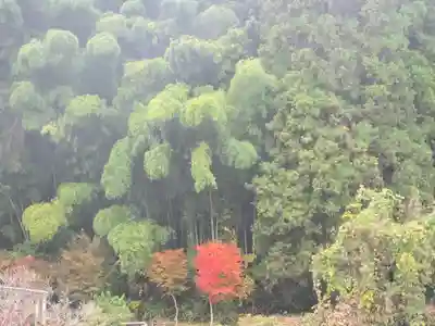 若宮神社(桧倉)(兵庫県)