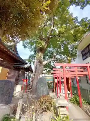 五方山熊野神社の鳥居