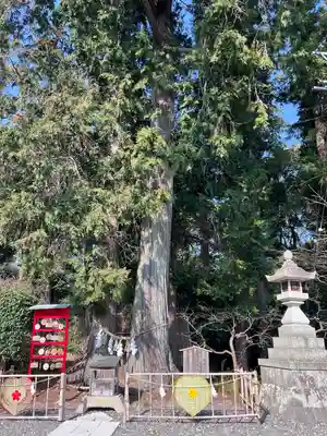 矢奈比賣神社（見付天神）(静岡県)