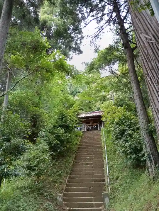 八幡神社の{uncategorized: "未分類", other: "その他", undefined: "問題あり", building: "その他建物", grave: "お墓", sacred_gate: "鳥居", guardian: "狛犬", statue: "像", buddha: "仏像", history: "歴史", nature: "自然", garden: "庭園", animal: "動物", pagoda: "塔", temizu: "手水舎", mountain_gate: "山門・神門", sanctuary: "本殿・本堂", subordinate: "末社・摂社", art: "芸術", scenery: "景色", jizo: "地蔵", ema: "絵馬", goshuin: "御朱印", omikuji: "おみくじ", items: "授与品その他", amulet: "お守り", goshuincho: "御朱印帳", eats: "食事", festival: "お祭り", votive_dance: "神楽", shichigosan: "七五三参", wedding: "結婚式", experience: "体験その他", initially: "初詣", around: "周辺", anti_infection: "感染症対策"}