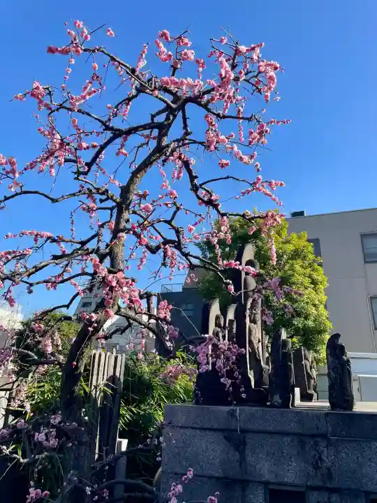 瑞泰寺の{uncategorized: "未分類", other: "その他", undefined: "問題あり", building: "その他建物", grave: "お墓", sacred_gate: "鳥居", guardian: "狛犬", statue: "像", buddha: "仏像", history: "歴史", nature: "自然", garden: "庭園", animal: "動物", pagoda: "塔", temizu: "手水舎", mountain_gate: "山門・神門", sanctuary: "本殿・本堂", subordinate: "末社・摂社", art: "芸術", scenery: "景色", jizo: "地蔵", ema: "絵馬", goshuin: "御朱印", omikuji: "おみくじ", items: "授与品その他", amulet: "お守り", goshuincho: "御朱印帳", eats: "食事", festival: "お祭り", votive_dance: "神楽", shichigosan: "七五三参", wedding: "結婚式", experience: "体験その他", initially: "初詣", around: "周辺", anti_infection: "感染症対策"}