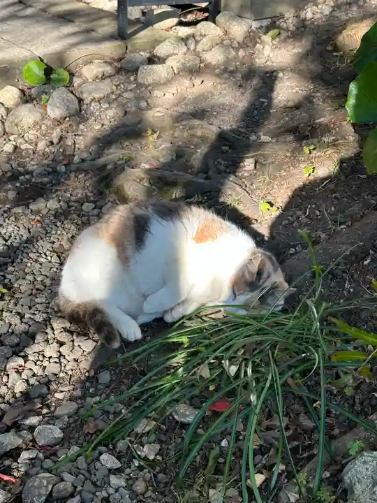 かっぱの寺 栖足寺(静岡県)