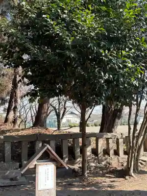 中野谷神社の{uncategorized: "未分類", other: "その他", undefined: "問題あり", building: "その他建物", grave: "お墓", sacred_gate: "鳥居", guardian: "狛犬", statue: "像", buddha: "仏像", history: "歴史", nature: "自然", garden: "庭園", animal: "動物", pagoda: "塔", temizu: "手水舎", mountain_gate: "山門・神門", sanctuary: "本殿・本堂", subordinate: "末社・摂社", art: "芸術", scenery: "景色", jizo: "地蔵", ema: "絵馬", goshuin: "御朱印", omikuji: "おみくじ", items: "授与品その他", amulet: "お守り", goshuincho: "御朱印帳", eats: "食事", festival: "お祭り", votive_dance: "神楽", shichigosan: "七五三参", wedding: "結婚式", experience: "体験その他", initially: "初詣", around: "周辺", anti_infection: "感染症対策"}