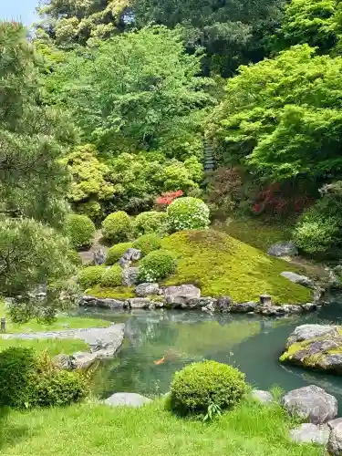 青蓮院門跡の{uncategorized: "未分類", other: "その他", undefined: "問題あり", building: "その他建物", grave: "お墓", sacred_gate: "鳥居", guardian: "狛犬", statue: "像", buddha: "仏像", history: "歴史", nature: "自然", garden: "庭園", animal: "動物", pagoda: "塔", temizu: "手水舎", mountain_gate: "山門・神門", sanctuary: "本殿・本堂", subordinate: "末社・摂社", art: "芸術", scenery: "景色", jizo: "地蔵", ema: "絵馬", goshuin: "御朱印", omikuji: "おみくじ", items: "授与品その他", amulet: "お守り", goshuincho: "御朱印帳", eats: "食事", festival: "お祭り", votive_dance: "神楽", shichigosan: "七五三参", wedding: "結婚式", experience: "体験その他", initially: "初詣", around: "周辺", anti_infection: "感染症対策"}