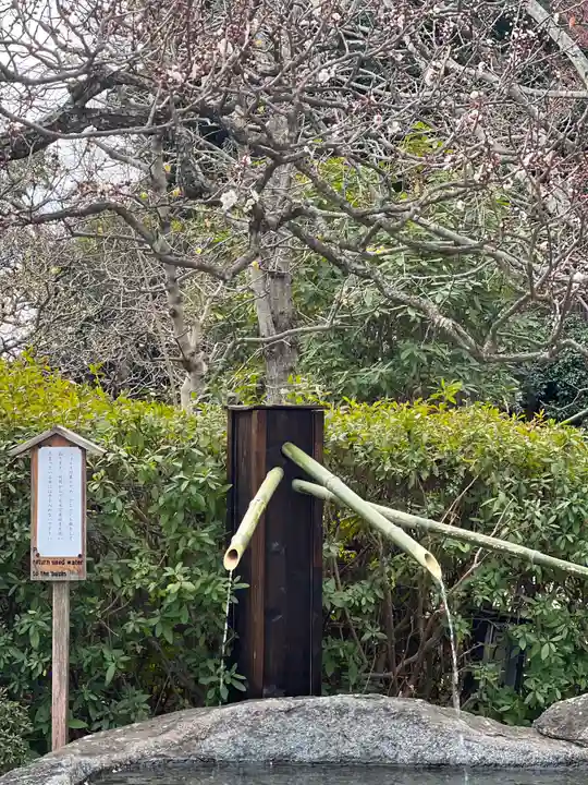 長谷寺のその他建物