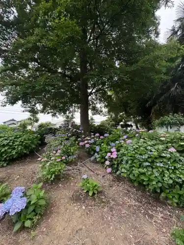 性海寺(愛知県)