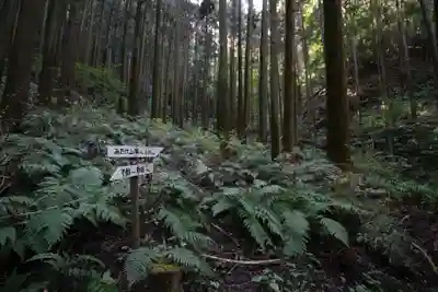武蔵二宮 金鑚神社の自然