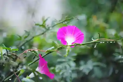 浄土寺(兵庫県)