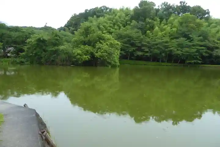 石上神宮の庭園