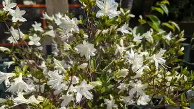 六孫王神社(京都府)