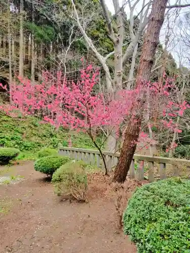 鶴若稲荷神社の{uncategorized: "未分類", other: "その他", undefined: "問題あり", building: "その他建物", grave: "お墓", sacred_gate: "鳥居", guardian: "狛犬", statue: "像", buddha: "仏像", history: "歴史", nature: "自然", garden: "庭園", animal: "動物", pagoda: "塔", temizu: "手水舎", mountain_gate: "山門・神門", sanctuary: "本殿・本堂", subordinate: "末社・摂社", art: "芸術", scenery: "景色", jizo: "地蔵", ema: "絵馬", goshuin: "御朱印", omikuji: "おみくじ", items: "授与品その他", amulet: "お守り", goshuincho: "御朱印帳", eats: "食事", festival: "お祭り", votive_dance: "神楽", shichigosan: "七五三参", wedding: "結婚式", experience: "体験その他", initially: "初詣", around: "周辺", anti_infection: "感染症対策"}