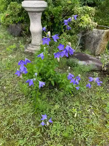天鏡院(京都府)