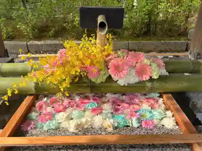 白山神社の{uncategorized: "未分類", other: "その他", undefined: "問題あり", building: "その他建物", grave: "お墓", sacred_gate: "鳥居", guardian: "狛犬", statue: "像", buddha: "仏像", history: "歴史", nature: "自然", garden: "庭園", animal: "動物", pagoda: "塔", temizu: "手水舎", mountain_gate: "山門・神門", sanctuary: "本殿・本堂", subordinate: "末社・摂社", art: "芸術", scenery: "景色", jizo: "地蔵", ema: "絵馬", goshuin: "御朱印", omikuji: "おみくじ", items: "授与品その他", amulet: "お守り", goshuincho: "御朱印帳", eats: "食事", festival: "お祭り", votive_dance: "神楽", shichigosan: "七五三参", wedding: "結婚式", experience: "体験その他", initially: "初詣", around: "周辺", anti_infection: "感染症対策"}