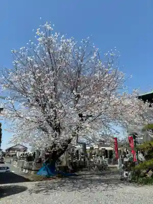十輪寺(群馬県)