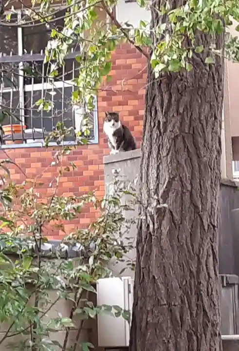 小野照崎神社(東京都)