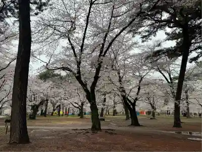 武蔵一宮氷川神社(埼玉県)