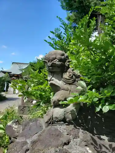 鷺宮八幡神社の狛犬