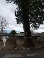 日光山中禅寺（輪王寺別院）(栃木県)