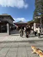 六波羅蜜寺の{uncategorized: "未分類", other: "その他", undefined: "問題あり", building: "その他建物", grave: "お墓", sacred_gate: "鳥居", guardian: "狛犬", statue: "像", buddha: "仏像", history: "歴史", nature: "自然", garden: "庭園", animal: "動物", pagoda: "塔", temizu: "手水舎", mountain_gate: "山門・神門", sanctuary: "本殿・本堂", subordinate: "末社・摂社", art: "芸術", scenery: "景色", jizo: "地蔵", ema: "絵馬", goshuin: "御朱印", omikuji: "おみくじ", items: "授与品その他", amulet: "お守り", goshuincho: "御朱印帳", eats: "食事", festival: "お祭り", votive_dance: "神楽", shichigosan: "七五三参", wedding: "結婚式", experience: "体験その他", initially: "初詣", around: "周辺", anti_infection: "感染症対策"}