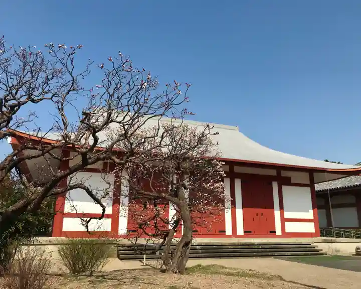 薬師寺の本殿・本堂