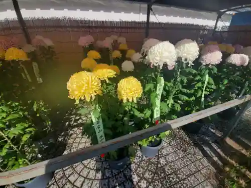 忍　諏訪神社・東照宮　の自然