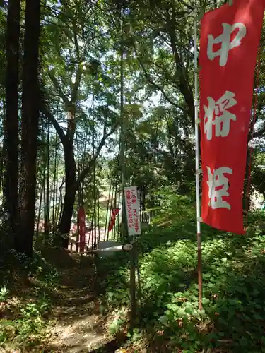 中将姫(神奈川県)