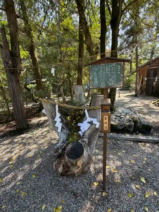 大和神社の{uncategorized: "未分類", other: "その他", undefined: "問題あり", building: "その他建物", grave: "お墓", sacred_gate: "鳥居", guardian: "狛犬", statue: "像", buddha: "仏像", history: "歴史", nature: "自然", garden: "庭園", animal: "動物", pagoda: "塔", temizu: "手水舎", mountain_gate: "山門・神門", sanctuary: "本殿・本堂", subordinate: "末社・摂社", art: "芸術", scenery: "景色", jizo: "地蔵", ema: "絵馬", goshuin: "御朱印", omikuji: "おみくじ", items: "授与品その他", amulet: "お守り", goshuincho: "御朱印帳", eats: "食事", festival: "お祭り", votive_dance: "神楽", shichigosan: "七五三参", wedding: "結婚式", experience: "体験その他", initially: "初詣", around: "周辺", anti_infection: "感染症対策"}