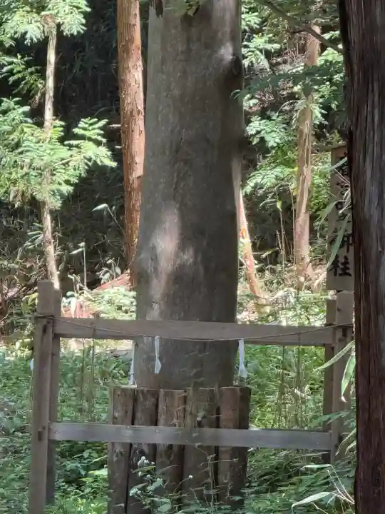 諏訪大社下社春宮(長野県)