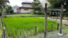 小野神社(滋賀県)