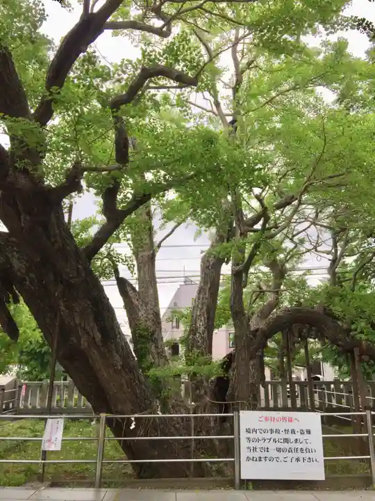 豊受神社の自然