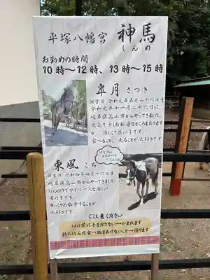 平塚八幡宮(神奈川県)