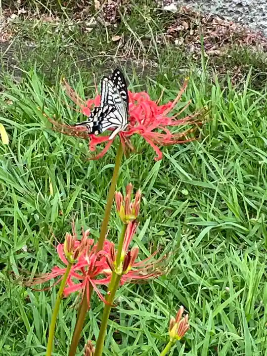 横浜 西方寺(神奈川県)