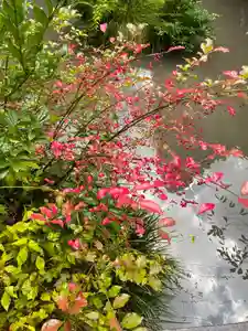 国上寺(新潟県)(2025年10月27日(月) 12時00分43秒投稿)