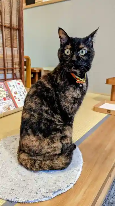 五十稲荷神社(栄寿稲荷神社)の動物