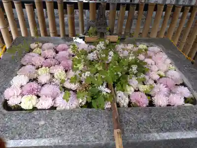 高円寺氷川神社(東京都)