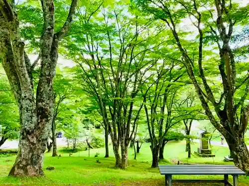 土津神社｜こどもと出世の神さまの自然