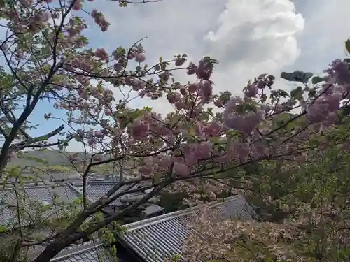 伊太祁曽神社の建物その他