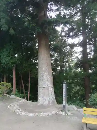 三春大神宮の自然