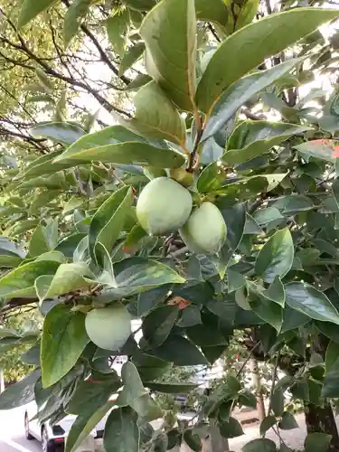 田縣神社の自然