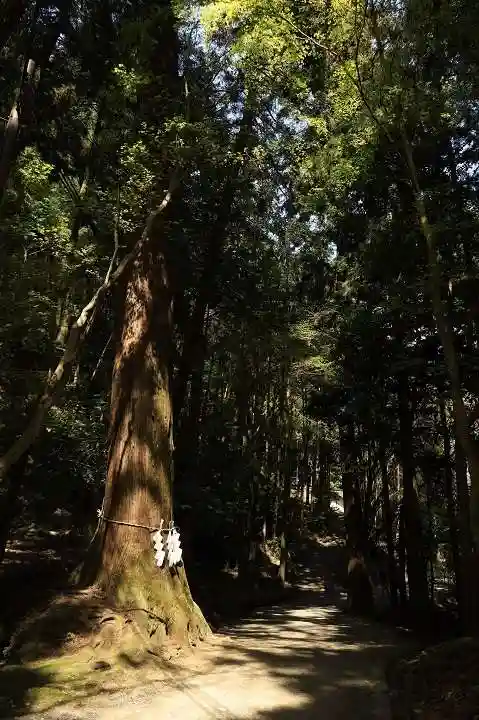 日吉大社(滋賀県)