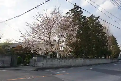 上青木氷川神社の周辺