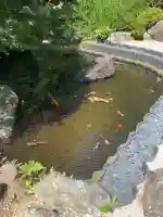 報国寺(神奈川県)