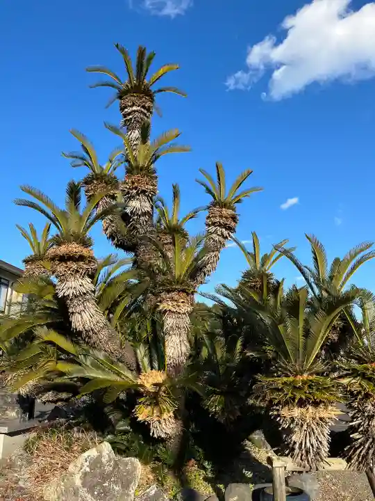 應声教院(静岡県)