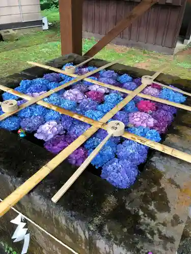 土津神社｜こどもと出世の神さまの手水