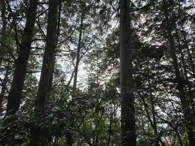 廣峯神社(兵庫県)