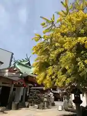 尼崎えびす神社の景色