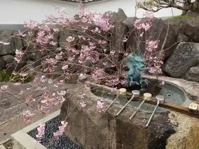 聖天院の手水舎