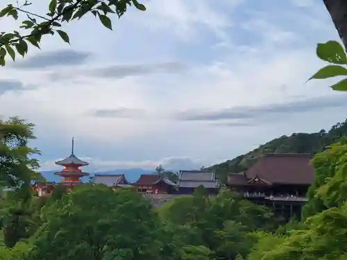 清水寺の景色