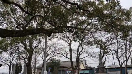 高忍日賣神社の自然