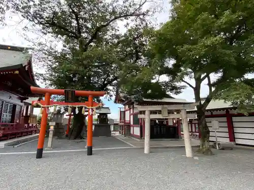 篠崎八幡神社(福岡県)